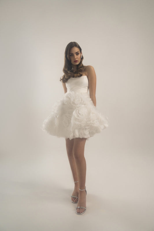 Amelia mini